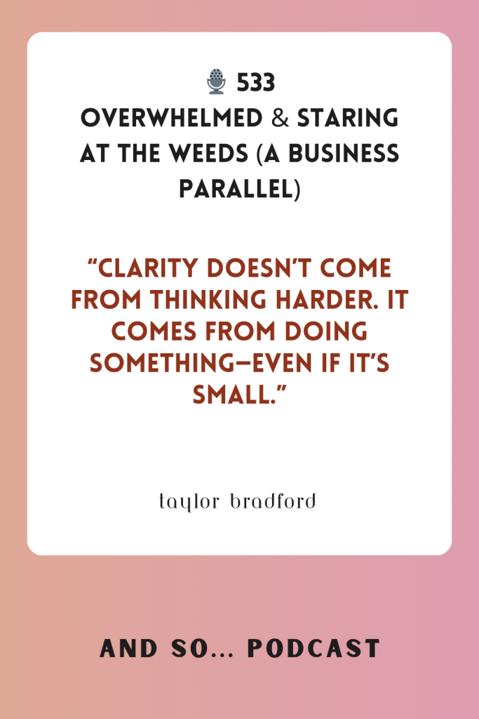 Overwhelmed & Staring at the Weeds - And So Podcast Episode 533